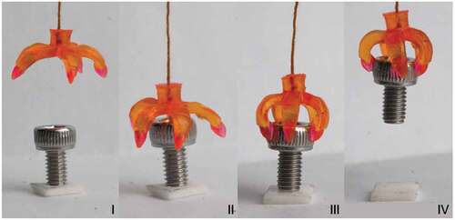 Figure 10. Thermally excited actuator made of shape memory polymer and 3D printed with stereo-lithography technique (image provided by Ge, Qi et al. (Citation2016) and Ge, Sakhaei et al. (Citation2016))