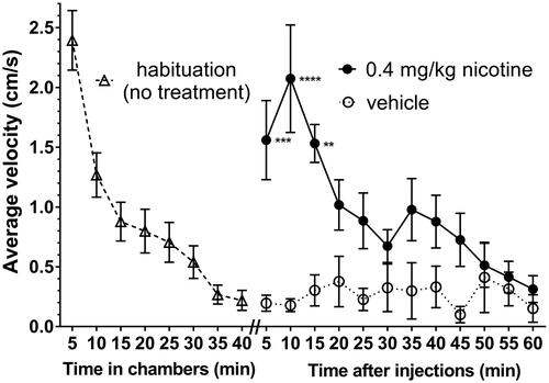 Figure 1. Time to habituation (left) and time course of the acute locomotor effect of nicotine or vehicle (right). To determine time needed to habituate, rats were placed in the spontaneous activity chamber and their activity recorded for 40 min (n = 18). At the end of 40 min, rats were injected s.c. with either the vehicle water (n = 7) or 0.4 mg/kg nicotine (n = 11) and placed back in the chamber for 60 min. Data shown are mean ± SEM for average velocity over each 5-min period. *p < 0.05, **p < 0.01, ***p < 0.001 for nicotine versus vehicle by 2-way ANOVA (time vs. treatment) followed by Tukey’s multiple comparisons test.