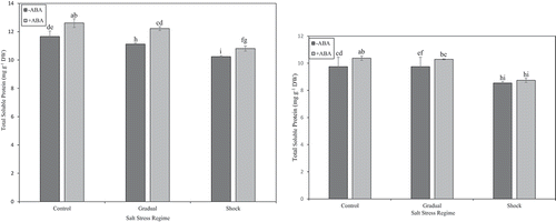 Figure 5. (a) Effect of different salt stress regimes and ABA application on total soluble protein in strawberry leaves of ʻKurdistanʼ. Vertical bars indicate standard errors of means. The mean data are resulted from three replicates per treatment and three plants per replicate. Different letters indicate statistically significant differences between mean values for – ABA and +ABA, according the Duncanʼs Multiple Range Test (p > .01). (b) Effect of different salt stress regimes and ABA application on total soluble protein in strawberry leaves of ʻQueen Elisaʼ. Vertical bars indicate standard errors of means. The mean data are resulted from three replicates per treatment and three plants per replicate. Different letters indicate statistically significant differences between mean values for – ABA and +ABA, according the Duncanʼs Multiple Range Test (p > .01)