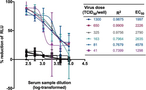 Figure 4. Optimization of virus dose for neutralization. The viral inocula with a dose range starting from 41 to 1300 TCID50/well were tested for SARS-CoV-2 PBNA. A serum sample from a healthy individual was tested as negative control shown in black lines and symbols.