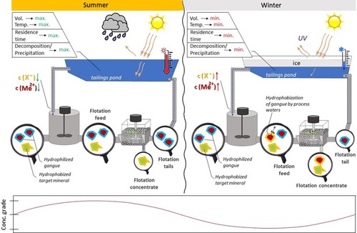 Figure 13. A summary of some seasonality triggering mechanisms on sulphide flotation plants.