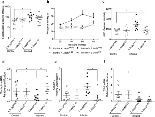 Figure 6. IL-22 treatment reverses post-infectious CHS and intestinal barrier alteration induced by C. rodentium infection independently of inflammation.