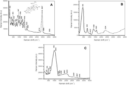 Figure 2 (A) Molecular structure and Micro-Raman spectra of betulinic acid (BA); (B) Micro-Raman spectra of magnetic iron oxide nanoparticles (MIONPs); (C) Micro-Raman spectra of BA-loaded magnetoliposomes.