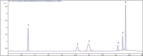Figure 1. HPLC-FLD chromatogram of Simulant D1 fortified with FWAs standard mixture.Peak order and mass fractions: 1 = 1,2-bis (5-methyl-2-benzoxazole) ethylene, 3.6 min, 3.0 µg kg−1; 2 = 1,4-bis-(2-benzoxazolyl)-naphthalene, 12.4 min, 3.0 µg kg−1; 3 = FCM 422, 14.4 min, 5.0 µg kg−1; 4 = FCM 919, 20.2 min, 5.0 µg kg−1; 5 = FCM 920, 21.2 min, 5.0 µg kg−1; 6 = FCM 500, 21.7 min, 5.0 µg kg−1.