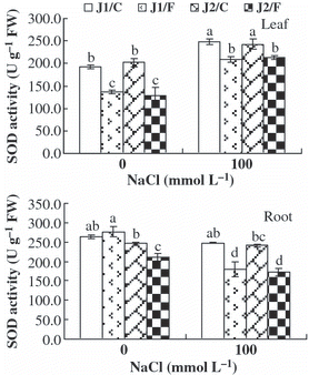 Figure 4 Superoxide dismutase (SOD) activity in the leaves and roots of the grafted cucumber seedlings under 0 mmol L−1 and 100 mmol L−1 NaCl stress. Values are the mean ± standard error (n = 3). Bars with the same letters indicate no significant difference according to Duncan’s multiple range test (P < 0.05). J1/C, Jinyu No. 1 grafted onto Chaojiquanwang; J1/F, Jinyu No. 1 grafted onto Figleaf Gourd; J2/C, Jinchun No. 2 grafted onto Chaojiquanwang; J2/F, Jinchun No. 2 grafted onto Figleaf Gourd; FW, fresh weight.