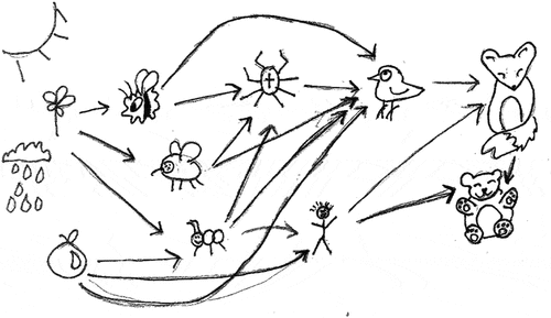 Figure 4. A drawing of a food web, Group I, Grade 6. The web has two starting points, a flower and a fruit, but only one ending point, a bear. In text, the group writes that the bear after death becomes energy for the flower, but this circulation of energy is not illustrated in the drawing. The need for sunshine and water in the ecosystem is illustrated to the left.