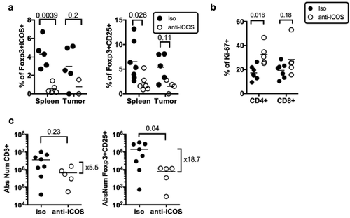 Figure 5. Impact of anti-ICOS mAb on Treg in humanized mice. (a) Frequencies of FOXP3+ICOS+ or FOXP3+CD25+ cells in CD4+CD3+ T cells and of (b) Ki-67+ cells in CD3+ T cells in the spleen and tumor of HuMice injected with isotype control (Iso) or anti-ICOS mAb (50µg/mouse). Results shown are cumulative of at least three independent experiments. Only high expressing cells were gated. The p-values reported on the graph are from a two-way ANOVA with multiple comparisons test corrected by the Sidak method. (c) Absolute numbers of total T cells (CD3+) or Treg (FOXP3+CD25+) were based on absolute counts of the spleen of HuMice treated with isotype control (Iso) or anti-ICOS mAb. Each dot represents a mouse. Fold change in mean numbers is indicated on the right. The p-values indicated on the graphs are from an unpaired two-tailed non-parametric Kolgomorov–Smirnov t-test. Data are cumulative of at least three independent experiments. The horizontal line represents the mean value.