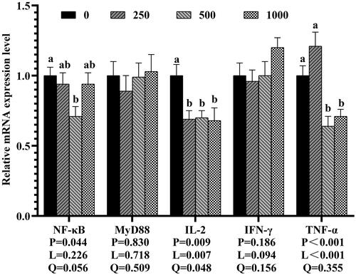 Figure 3. Effects of dietary rutin on the mRNA expressions of immune-related genes in jejunal mucosa of 42-day-old broilers. Note: a, bMeans within the same gene of the histogram with different superscript differ significantly (P < 0.05). NF-κB, nuclear factor kappa-B; MyD88, myeloid differentiation factor 88; IL-2, interferon-2; IFN-γ, interferon -γ; TNF-α, tumor necrosis factor-α. 0, basal diet (control group); 250, 500 and 1,000, basal diet further supplemented with 250, 500 and 1,000 mg rutin/kg, respectively. Q and L are the quadratic and linear responses, respectively, to the levels of dietary supplementation with rutin.