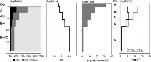 FIGURE 6. Soil texture, pH value (measured in 0.01 M CaCl2 dilution), organic matter content, and Fed and Feo content of profile 3
