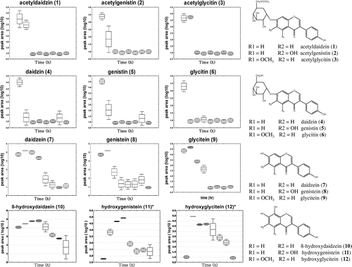 Fig. 2. Changes in isoflavone derivatives during soybean fermentation determined by LC-ESI-MS Analysis.Note: The chemical structures of the isoflavones are shown (right), and the relative levels of secondary metabolites are shown by box and whisker plots (left).*The location of a hydroxyl group in hydroxyglycitein and hydroxygenistein was unclear.