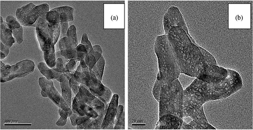 Figure 7. Typical transmission electron microscopy images of mesoporous HA calcined at 600 ° C: (a) 100 nm scale and (b) 20 nm scale [Citation109]