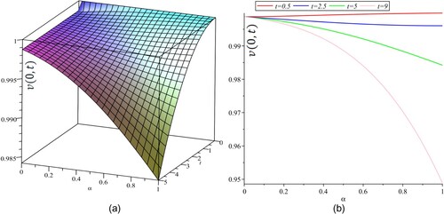 Figure 3. The distribution function amplitude for v(0; t) that depends only on the fractional-order α (a) 3D graph and (b) 2D graph.