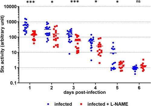 Figure 3. L-NAME treatment of infected mice limits Stx toxicity in the gut. Mice, treated or not with L-NAME, were infected with EDL933. At the indicated time points, Stx activity from faeces was quantified using the Vero-d2EGFP cell line. Each dot represents one mouse and means are indicated as a line. A multiple two-tailed unpaired t-test was applied to compare both groups every day. ns: non-significant; *p < .05; ***p < .001.