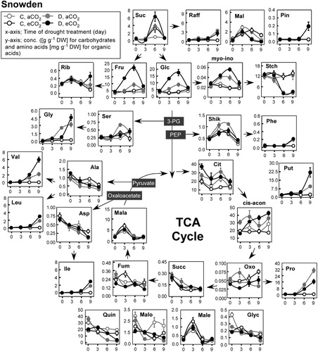 Figure 3. Diagram of foliar metabolic changes due to water stress and CO2 enrichment in Snowden. Other details are as in Figure 2.