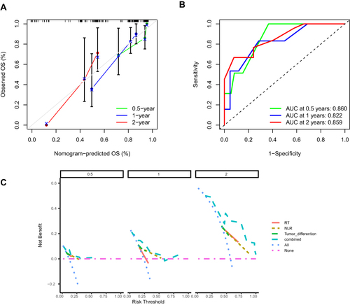 Figure 6 Calibration curves, ROC curves and DCA of the nomogram. (A) Calibration curves for predicting overall survival (OS) at 0.5 years (green line), 1 year (blue line) and 2 years (red line). The x-axis shows the nomogram-predicted OS and the y-axis shows the actual OS. The diagonal 45° line (silver) represents perfect prediction and indicates the ideal model. (B) Time-dependent subject receiver operating characteristic (ROC) curves based on bar graphs predicting OS at 0.5, 1, and 2 OS. (C) Comparison of histograms and decision analysis curves for other models. Decision curves were analyzed for patient OS at 0.5, 1 and 2 years by histogram as well as for high and low NLR, RT and non-RT and degree of tumor differentiation (left to right). The pink horizontal line represents the assumption that all patients will survive in the given time frame. The dark blue line represents the assumption that all patients will die. The light blue line represents the DCA for bar prediction; the Orange line represents the DCA for RT prediction; the green line represents the DCA for tumor differentiation prediction; the tan line represents the DCA for NLR prediction. The vertical coordinate represents the net benefit of the model prediction, and the horizontal coordinate represents the threshold probability. Thus, the net gain per patient at a given time for each prediction model was a function of cohort size and threshold probability (horizontal coordinate), which was calculated by weighting the gain (true positives) and the hazard (false positives).