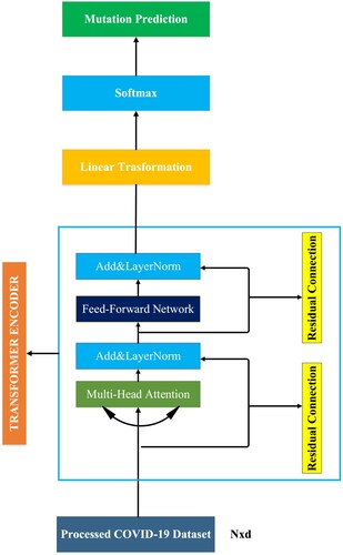 Figure 5. The workflows of the proposed TfrAdmCov model for mutation prediction of COVID-19 virus. Where N is the number of tokens in the input sequence and d is the dimensionality of those tokens. The size of the input sequence is Nxd.