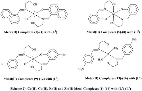 Scheme 2. Metal(II) complexes.
