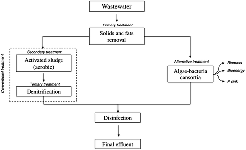 Figure 1. Comparison-of-wastewater-treatment-using-microalgae-vs.-traditional-processes.