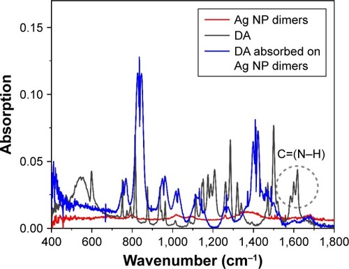 Figure 7 FT-IR absorption spectra of three different cases.Notes: Red curve represents Ag NP dimers, gray curve represents fresh DA, and blue curve represents DA adsorbed on the Ag NP dimers. The dotted circle signs the bond ~1,610 cm−1 which could be ascribed to the bending vibration of C=(N–H).Abbreviations: DA, dopamine; FT-IR, Fourier Transform Infrared; NP, nanoparticle.