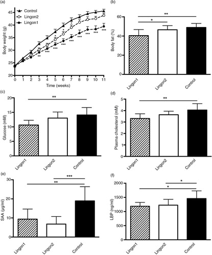 Fig. 1 Metabolic and inflammatory characteristics of mice fed high-fat diet (control) supplemented with different batches of lingonberries. (a) Lingon1 (black circles) and Lingon2 (white circles) supplementation had effects on body weight gain compared to the control (black triangles). The stars next to Lingon1 and Lingon2 data points denote significant differences compared to the control group for each week (two-way ANOVA mean±SEM; Dunnett's post-hoc test). The percentage of body fat (b), plasma levels of glucose (c) and cholesterol (d) were reduced by supplementation with Lingon1. (e) The plasma concentration of the inflammatory marker serum amyloid A (SAA) and (f) the endotoxemia marker LPS-binding protein (LBP) was reduced by both lingonberry diets compared to the control. Values represent mean±SD, n=9–10. One-way ANOVA; Tukey's post-hoc test *p<0.05, **p<0.01 or ***p<0.001.