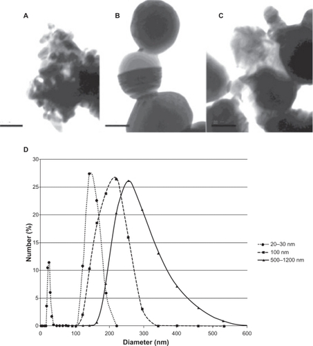 Figure 1 Particle characterization. Transmission electron microscopy images of A) 20–30 nm, B) 100 nm, and C) 500–1200 nm silver particles. D) Dynamic light-scattering results for the silver nanoparticles.