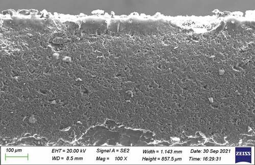 Figure 5. Full cross section of the embedded thin film.