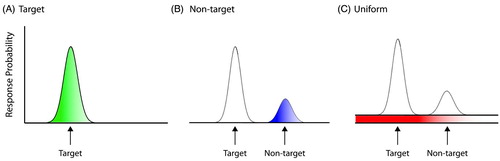 Figure 2 Three sources of error in memory used for modeling performance. (A) A Von Mises (circular Gaussian) distribution with concentration parameter κ, centred on the target value, capturing variability in memory for target, with the area under the distribution (shaded) being proportional to the probability of responding to the target; (B) Von Mises distribution with concentration parameter κ, centred on one of the non-target value, resulting from errors in identifying which target value belonged with the target colour (misbinding). The area under the distribution corresponds to the proportion of non-target responses and (C) A uniform distribution of error corresponding to random error, with the area under this distribution corresponding to the proportion of random responses.