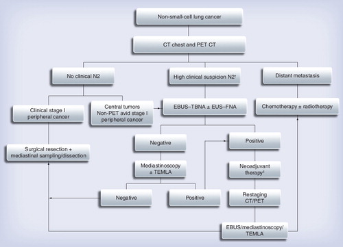 Figure 2. An overview of the clinical approach to mediastinal staging of non-small-cell lung cancer.This should be tailored to individual patient and institution-specific factors as discussed in the text.†Enlarged or PET positive N2 nodes.‡This choice depends on the practicing physician.CT: Computed tomography; EBUS: Endobronchial ultrasound; EUS: Endoscopic ultrasound; FNA: Fine-needle aspiration; TEMLA: Transcervical extended mediastinal lymphadenectomy; TBNA: Transbronchial needle aspiration.