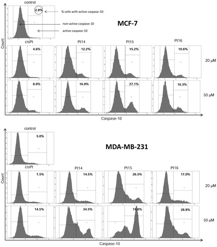 Figure 12. Flow cytometric analysis of populations MCF-7 and MDA-MB-231 breast cancer cells treated for 24 h with 20 μM and 50 μM of Pt14–Pt16 and cisplatin for active caspase-10. Mean percentage values from three independent experiments (n = 3) done in duplicate are presented.