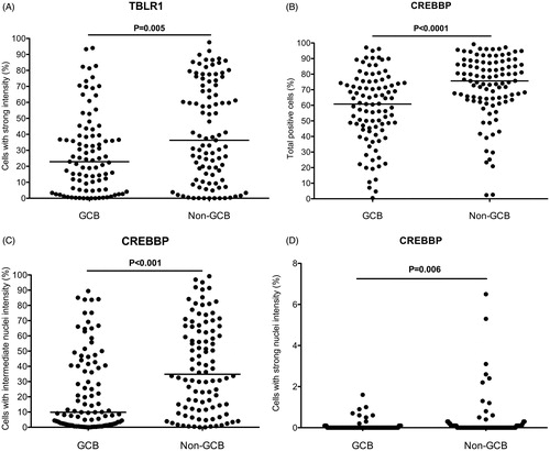 Figure 2. The distribution and median values for: (A) TBLR1 – strong nuclei staining intensity, (B) CREBBP – all positive nuclei, (C) CREBBP – intermediate nuclei staining intensity, and (D) CREBBP – strong nuclei staining intensity, in GCB patients compared with non-GCB.