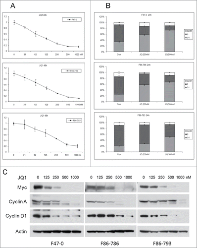 Figure 3. Bromodomain inhibitor JQ1 induces dose-dependent cell cycle inhibition and reduced cell viability in lymphoma cells from Lck-Dlx5 mice. Cell lines were treated with JQ1 at the indicated concentrations. Cell viability/proliferation was monitored by MTS assay (A). Cell cycle analysis was performed by flow cytometry (B). Western blot analysis depicting expression of Myc, cyclin A, cyclin D1 and β-actin (C).