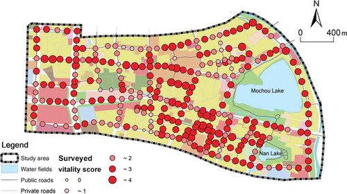 Figure 6. Surveyed street vitality scores