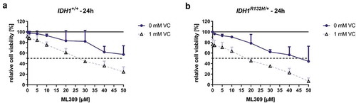Figure 6. Effect of mutant IDH1 inhibitor ML309 and VC on cell viability of HCT116 IDH1+/+ or IDH1R132H/+.HCT116 cells were exposed to increasing concentrations of ML309, as indicated. The incubation was carried out for 24 h in HCT116 IDH1+/+ (a) or IDH1R132H/+ (b) with ML309 alone or in combination with VC (1 mM), and cell viabilities assessed by MTT assay. Data are expressed as a percentage of the untreated control (100% are indicated as black line), viable cell levels <75% were taken to indicate cytotoxic induction (error bars = SD; n = 3), dotted line shows 50% viability for determination of IC50 values.
