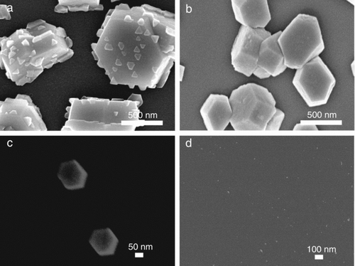 FIG. 5 FESEM images of GaN nanostructures deposited at (a) 1100°C, (b) 1000°C, (c) 900°C, and (d) 500°C at a NH3 flow rate of 400 sccm.