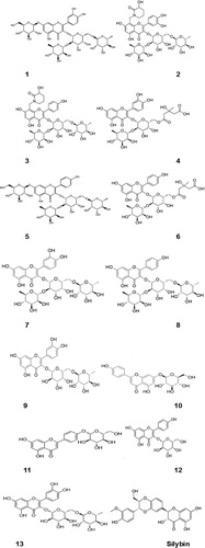Figure 1. Structures of the studied flavoalkaloids (2–3), flavonoids from A. monspessulanus ssp. monspessulanus (6–13) and A. monspessulanus ssp. illyricus (4–5). Silybin was used as a reference compound.