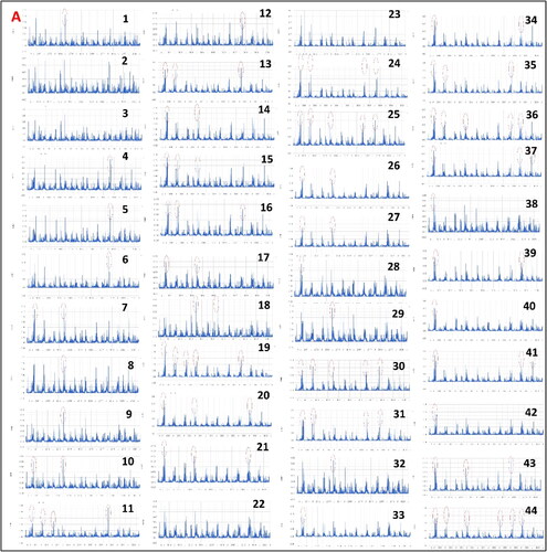 Figure 6. (A,B) Representation of precipitation day hour max trend in 95 administrative blocks of Uttarakhand.