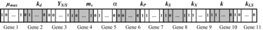 Figure 1. Chromosome structure in GA.
