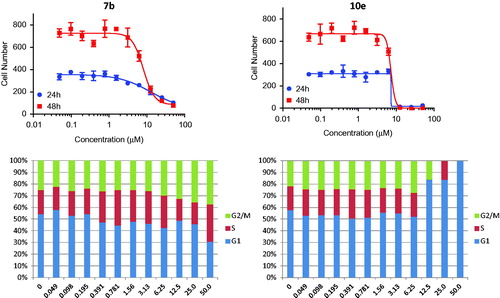 Figure 3. Effects on number and cell cycle distribution. A-549 cells were treated with dose curve. Compound 7b (left) or 10e (right). Cell number per cell cycle was determined by DNA content by DAPI fluorescent labeling and imaging cytometry following 48 h treatment.