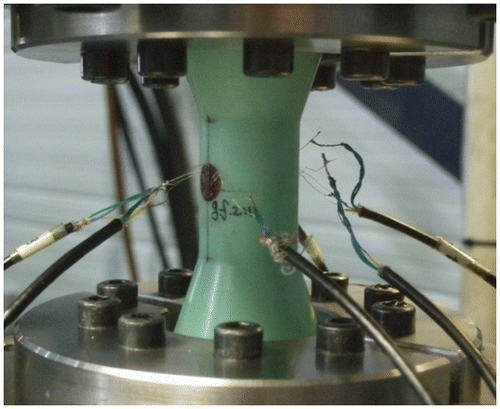 Figure 4. The experimental set-up.