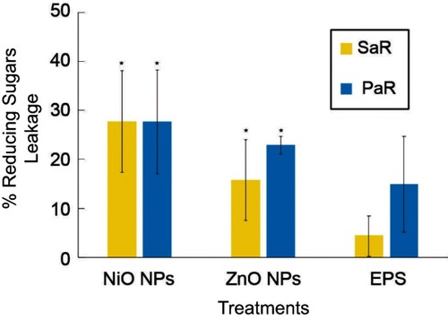 Figure 7 The effect of EPS-capped NiO, ZnO composites on the membrane leakage of reducing sugars to the culture media. Percentage increment of leaked reducing sugars to the culture media of SaR and PaR caused by the exposure of both synthesized composites and EPS at 3 mg/mL, and comparing to an untreated control. Error bars show standard deviation. * indicates significant difference (p<0.05) compared to the untreated control. Every experiment was carried out with replicates of three.Abbreviation: EPS, exopolysaccharides.