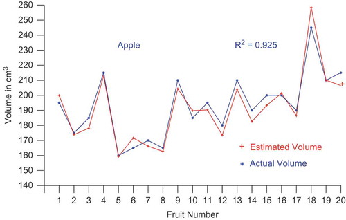 FIGURE 4(a) Comparison of estimated and actual volume of apples.