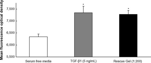 Figure 1 Mean fluorescence optical density measured in cultured neonatal human foreskin fibroblasts treated with TGF-β1 (positive control, n=8) or with or without Rescue Gel (1:200) following immunofluorescence staining for collagen type I.