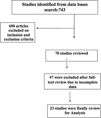 Figure 1 PRISMA flow chart of the review.