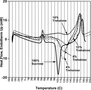 Figure 10 DSC thermograms of the amorphous sucrose-trehalose mixtures, stored at 15% relative humidity, showing the influence of added trehalose on sucrose crystallization.