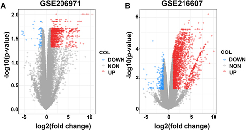 Figure 1 Volcano plots of DEGs from the two datasets. (A and B) Volcano plots of DEGs from GSE206971 and GSE216607 datasets. The red dots represent upregulated differential genes, the blue dots represent differentially downregulated genes and the gray dots represent genes without significant differences.