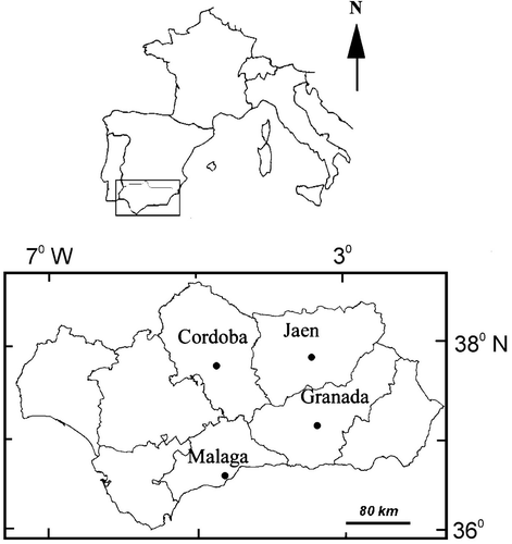 Geographical location of the cities of Córdoba, Jaén, Málaga and Granada.