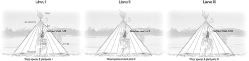 Figure 3. The experimental set-up of the lávvu-laboratory includes three identical lávvus, each with a fire of different wood species and plant parts, and in the top-opening reindeer meat is hung to be smoked.