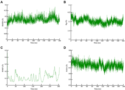 Figure 2 Global stability analysis of ligand-hACE2 protein complexes throughout 200 ns all-atom MD simulation. (A) Analysis of RMSD trajectories for the 3-octane–Mpro protein complex throughout 200 ns MD simulation deciphering the primary conformational switches. (B) The radius of gyration for the protein–ligand complex reflects the complex structure’s global stability. (C) RMSF of protein–ligand complex depicting fluctuations across protein residues during 200 ns of MD simulations. (D) Extent of Mpro binding site coverage via SASA analysis along with the time evolution 200 ns all-atom MD simulation.