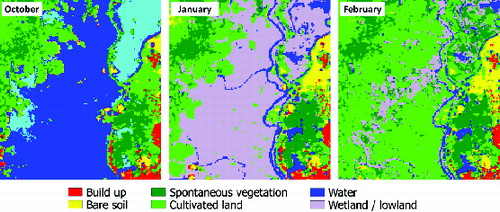 Figure 9. A portion of the Dhaka district classifications showing widespread flooding in October 2009, becoming wetland in January and cultivated land in February 2010.