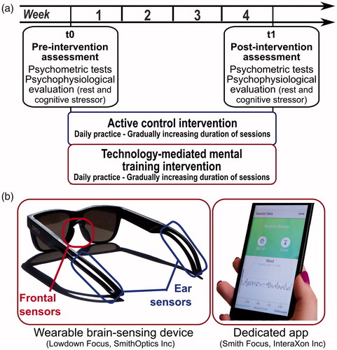 Figure 1. (a) Overall structure of the study and experimental steps. (b) An example of wearable brain-sensing device used in the study (Lowdown Focus, SmithOptics Inc.) and of a screenshot of the dedicated app concerning the feedback on session data.